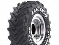 Ascenso XLR 880 (с/х)