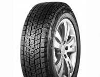 Bridgestone Blizzak DM-V1