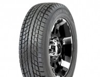 CST SNOW TRAC SCS1