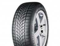 Dayton DW510 EVO