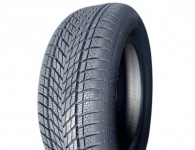 Dunlop Winter