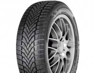 Falken Eurowinter HS02