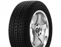 Firestone WinterForce