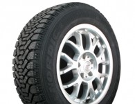 Goodyear Nordic