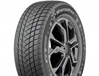 GT Radial WinterPro2 evo