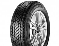 GT Radial WinterPro2