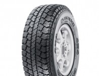 Lassa Competus A/T