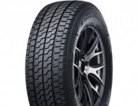 Nexen N'Blue 4Season Van