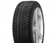 Nokian WR