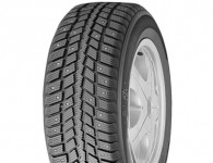 Roadstone Winguard 231