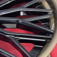 WS FORGED WS-LAMB5 GLOSS_BLACK_LIP_GLOSS_BRONZE_FORGED
