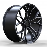 WS FORGED WS1
